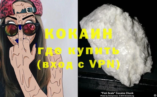 мяу мяу мука Снежногорск