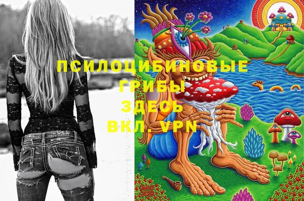 мяу мяу мука Снежногорск