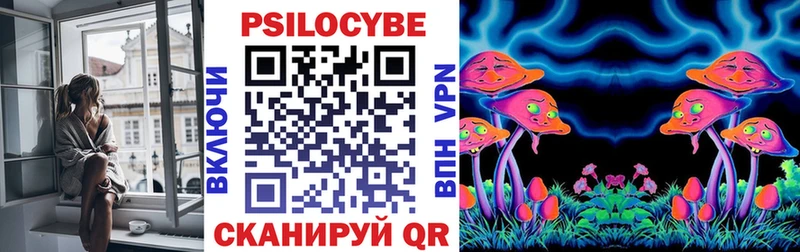 Галлюциногенные грибы Cubensis  нарко площадка какой сайт  Новохопёрск 